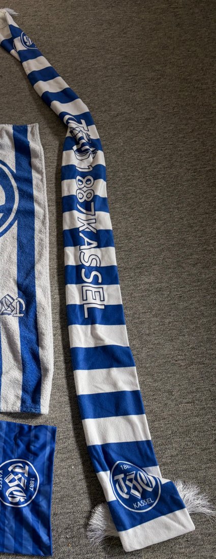TSG-Fanschal